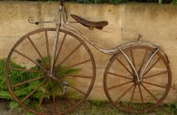 Foto Michaux - 1D