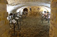 144 - Comtadin du Cycle