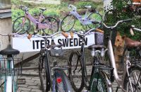 142/A " IVCA 2014 " – Tiszakecske, Hungary