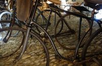 144 - Comtadin du Cycle
