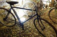 144 - Comtadin du Cycle