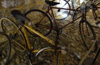 144 - Comtadin du Cycle