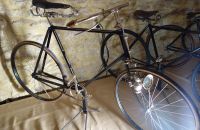 144 - Comtadin du Cycle