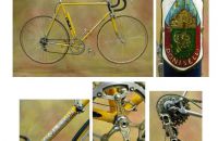 151 - Rydjor's  Bike Collection, MN, USA