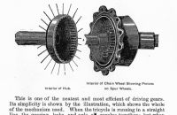 Stoddard, Lovering & Co. 1884