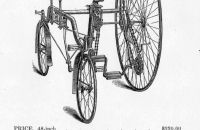 Stoddard, Lovering & Co. 1884