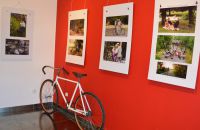 158 - Galerie Visio Art