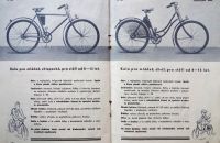 Iris 1935