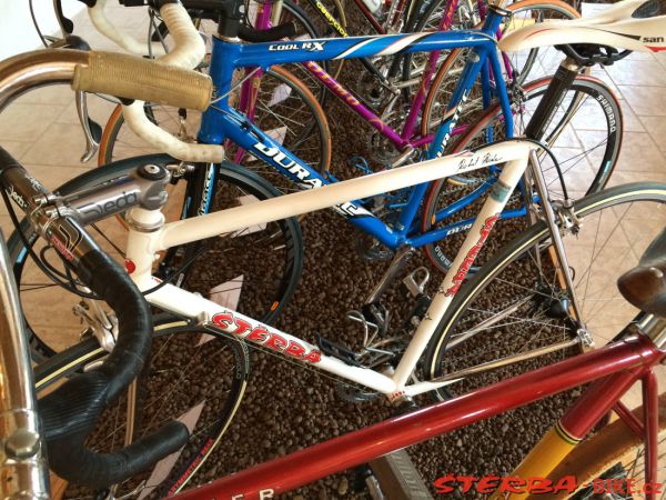 163/C Boskovštejn - race bicycles