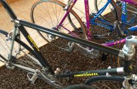 163/C Boskovštejn - race bicycles