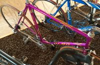 163/C Boskovštejn - race bicycles