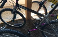 163/D Boskovštejn - MTB kola