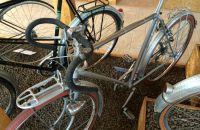 163/C Boskovštejn - race bicycles