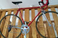 163/C Boskovštejn - race bicycles