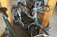 163/C Boskovštejn - race bicycles