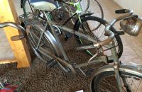 163/C Boskovštejn - race bicycles