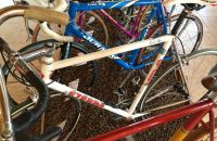 163/C Boskovštejn - race bicycles