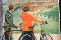 Mannheim 2015 bikes for sale
