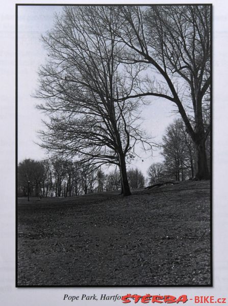 Robert McCullough