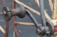 Witty Velocipede I