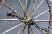 Witty Velocipede I
