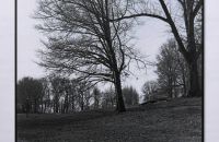 Robert McCullough
