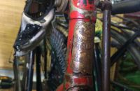 194 - Histovelo Brno