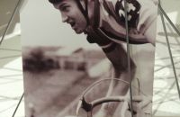 194 - Histovelo Brno