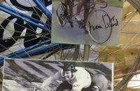 194 - Histovelo Brno