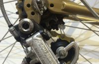 194 - Histovelo Brno
