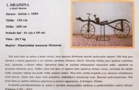 Draisiene - 36