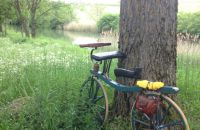 Nancy – Karlsruhe (4day ride)