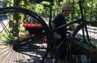 IVCA 2017 Jumble sale