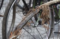 Antique Bicycles Day 2017 - Jumble sale