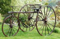 Pedamotive tricycle, Lever-driven machine, Francie c.1855