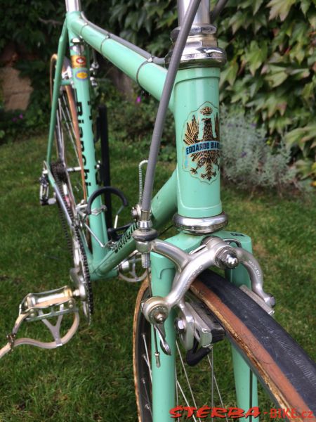 Race bikes Campagnolo