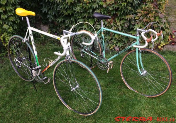 Race bikes Campagnolo