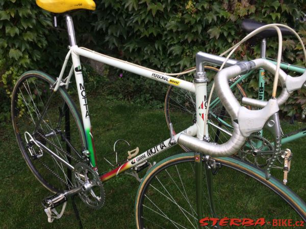 Race bikes Campagnolo