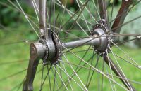 Trigwell a Co, Race bike