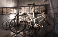 215 - Hollemburg - Krems 2017