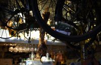 216 - 't Velootje PUB - Gent