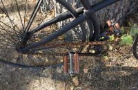 X-frame safeties and more pre 1900