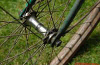 Hirondelle - retro direct