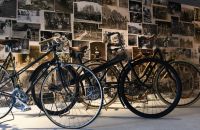 215 - Hollemburg - Krems 2017