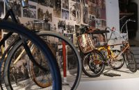 215 - Hollemburg - Krems 2017