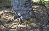 X-frame safeties and more pre 1900