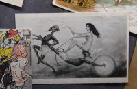 215 - Hollemburg - Krems 2017