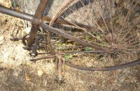X-frame safeties and more pre 1900