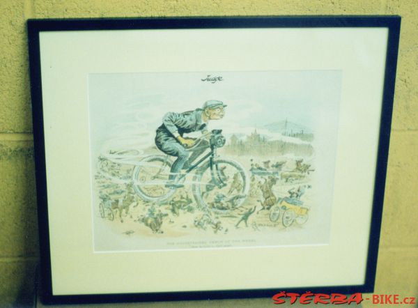 219/C - Gary COOK Collection