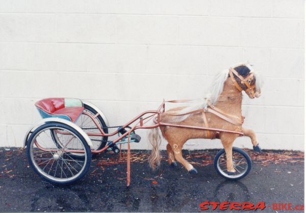 219/A - Gary COOK collection